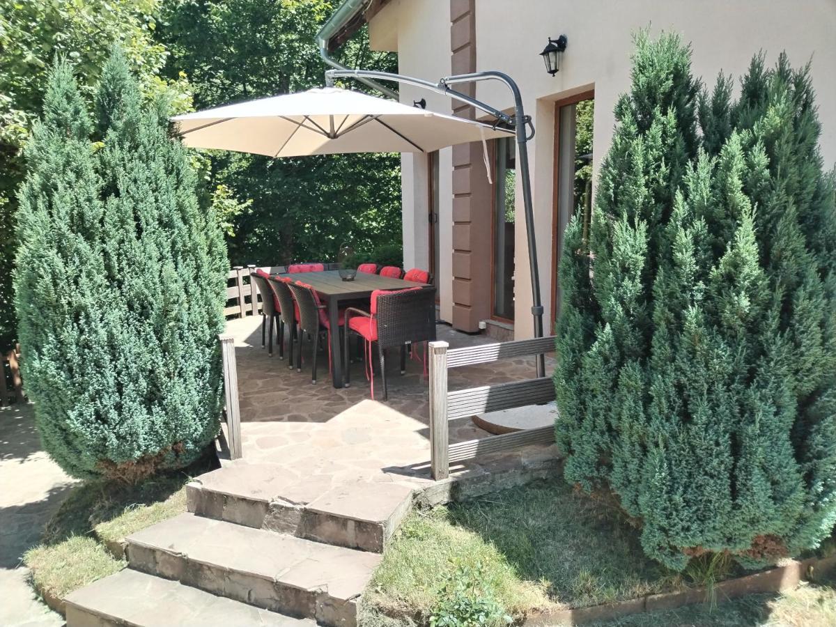 Lodge Zeleni Svet Crni Vrh Екстер'єр фото