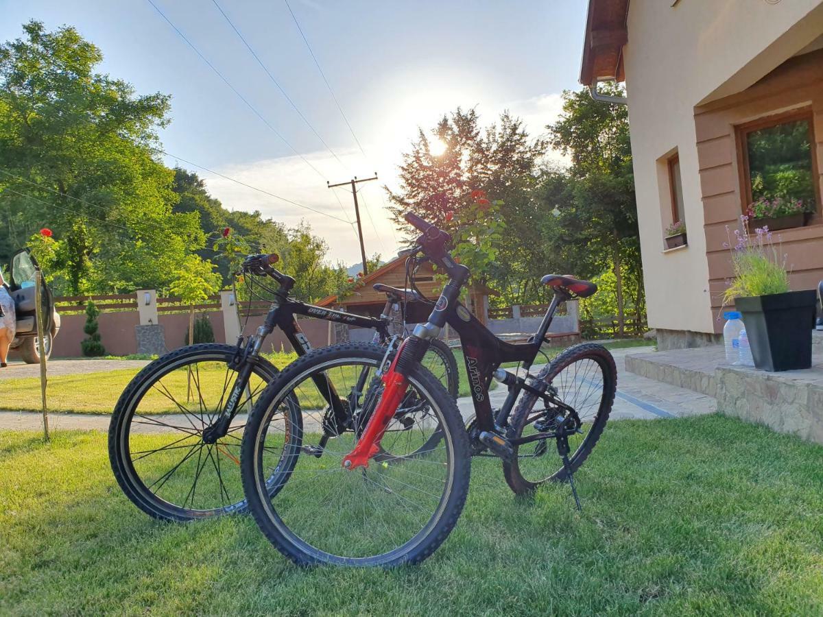 Lodge Zeleni Svet Crni Vrh Екстер'єр фото