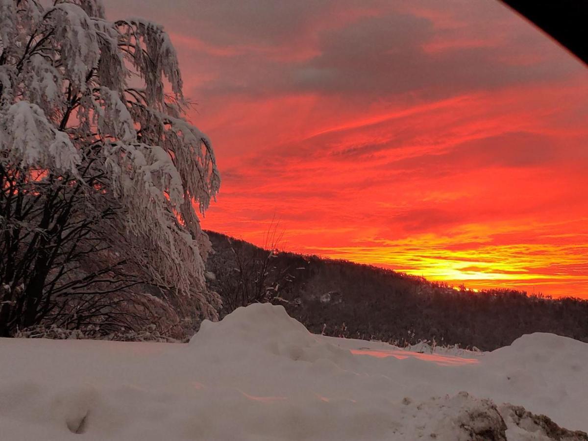 Lodge Zeleni Svet Crni Vrh Екстер'єр фото